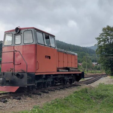 Diesellok 375x375 - Die Waldbahn von Korostiv